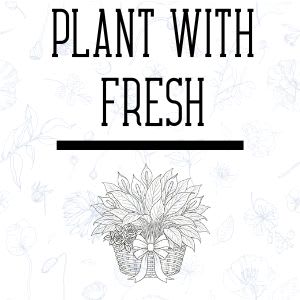 Plant with Fresh