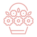 Flowers for Every Occasion