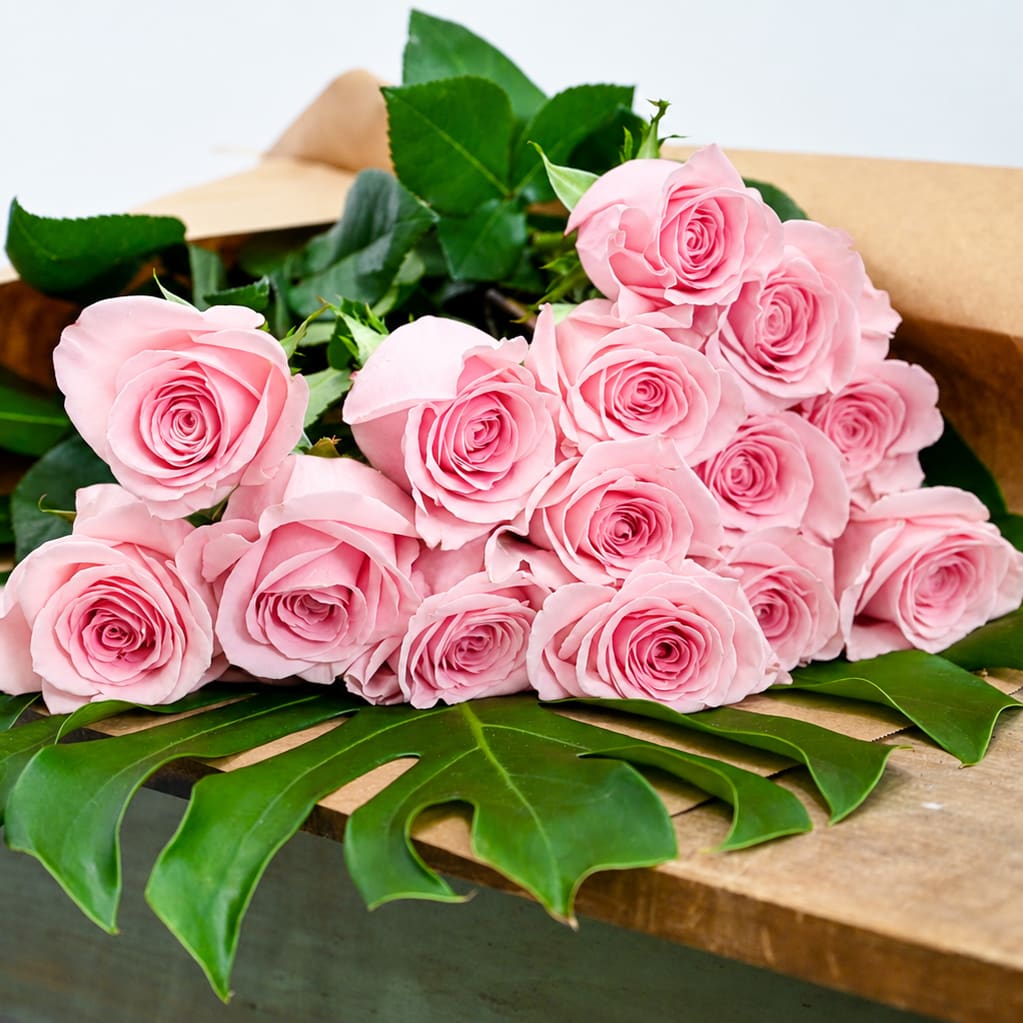 Pink Roses