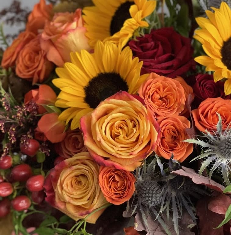 Designer's Choice - Fall