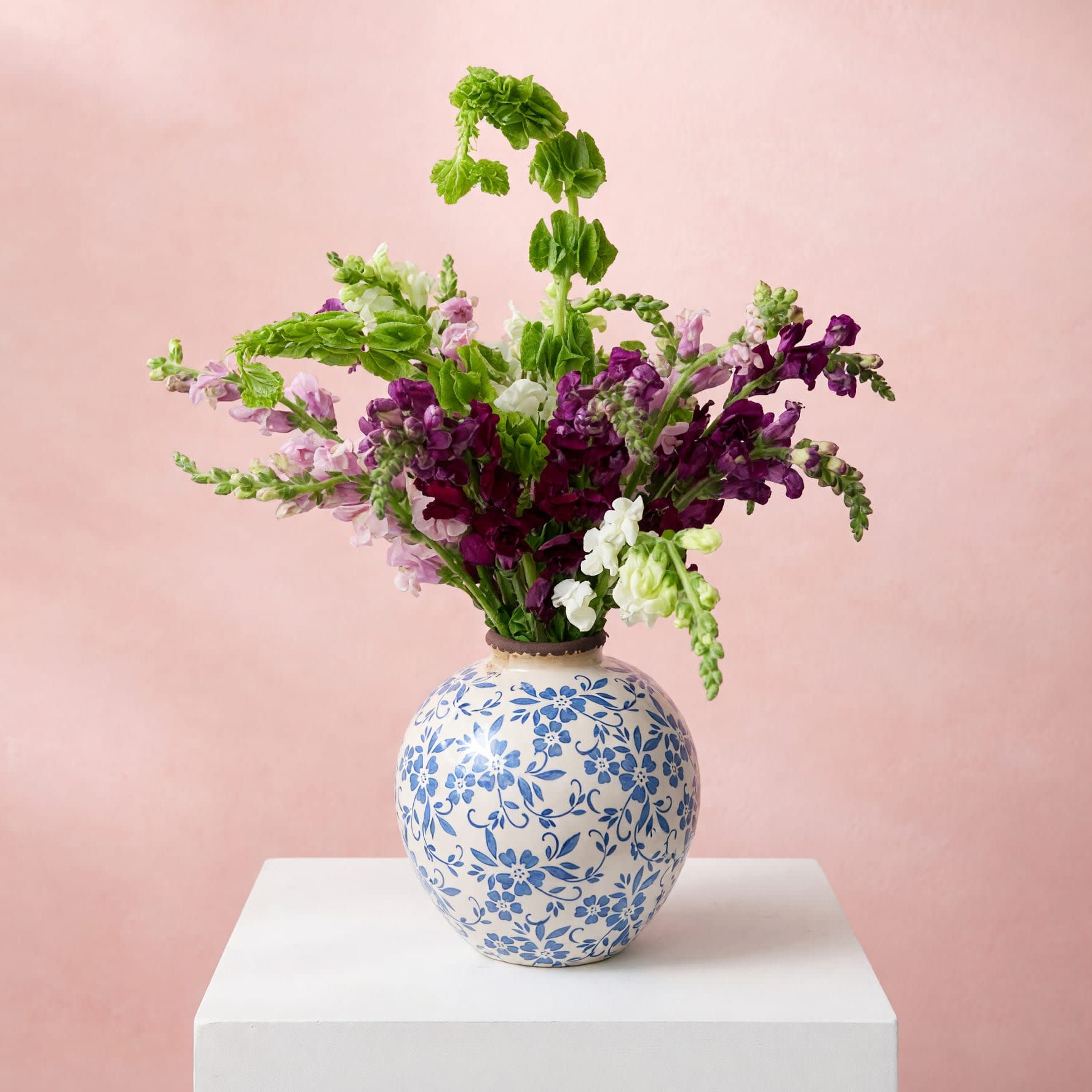 The Chinoiserie Collection