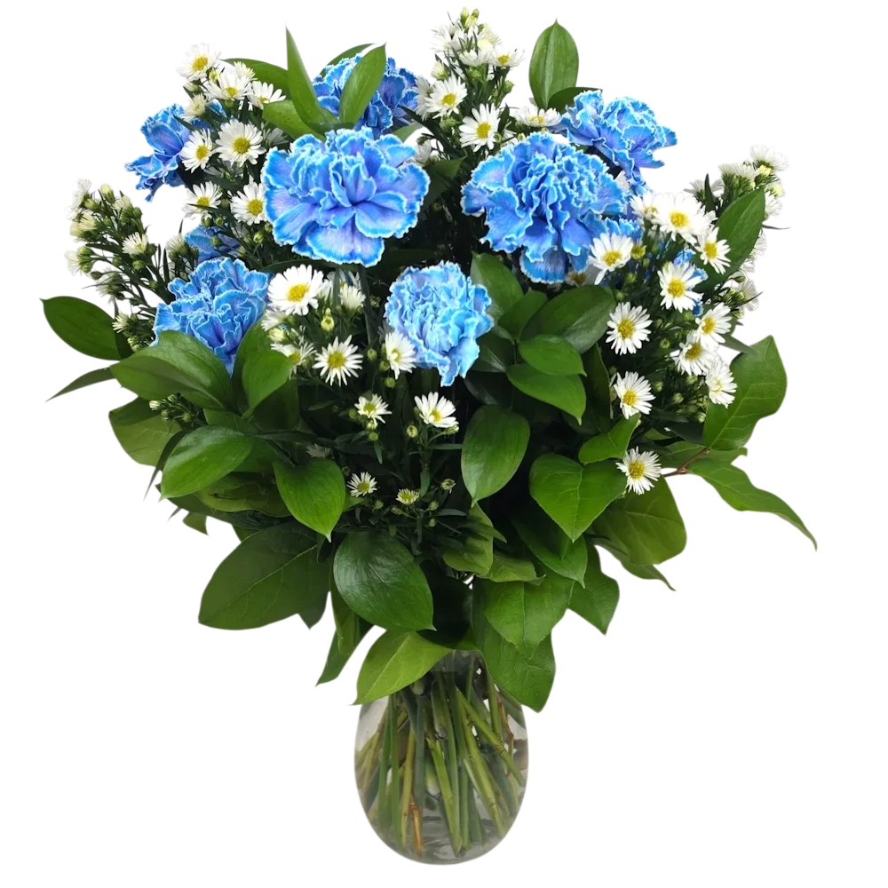 Dozen Blue Carnations Arranged