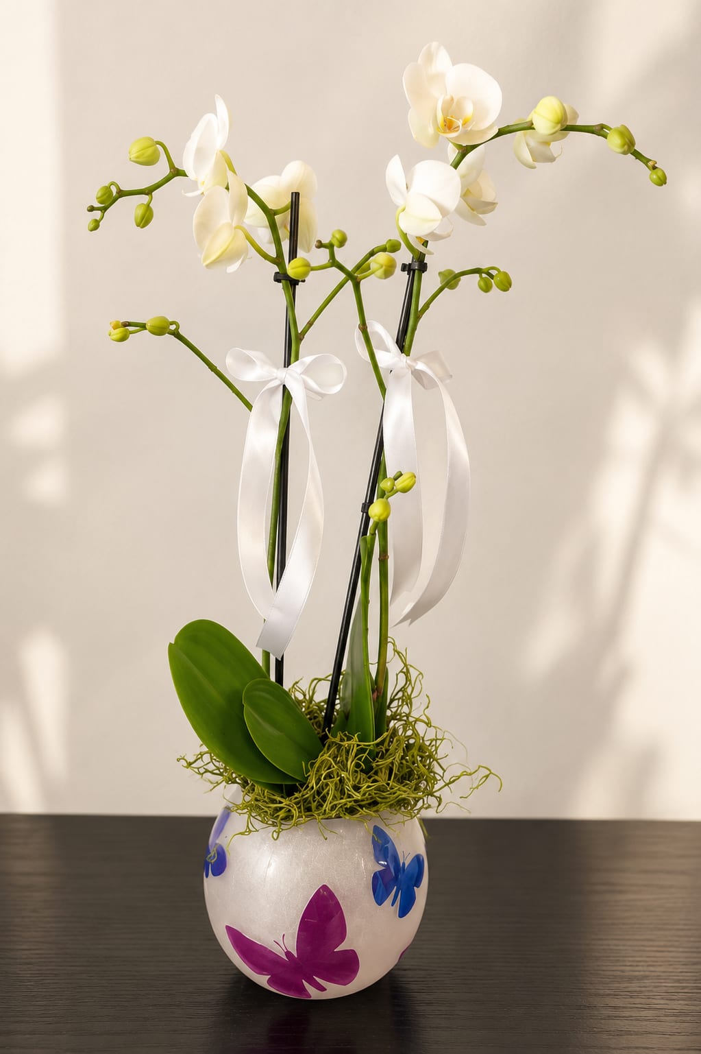 Butterfly Elegance Orchid