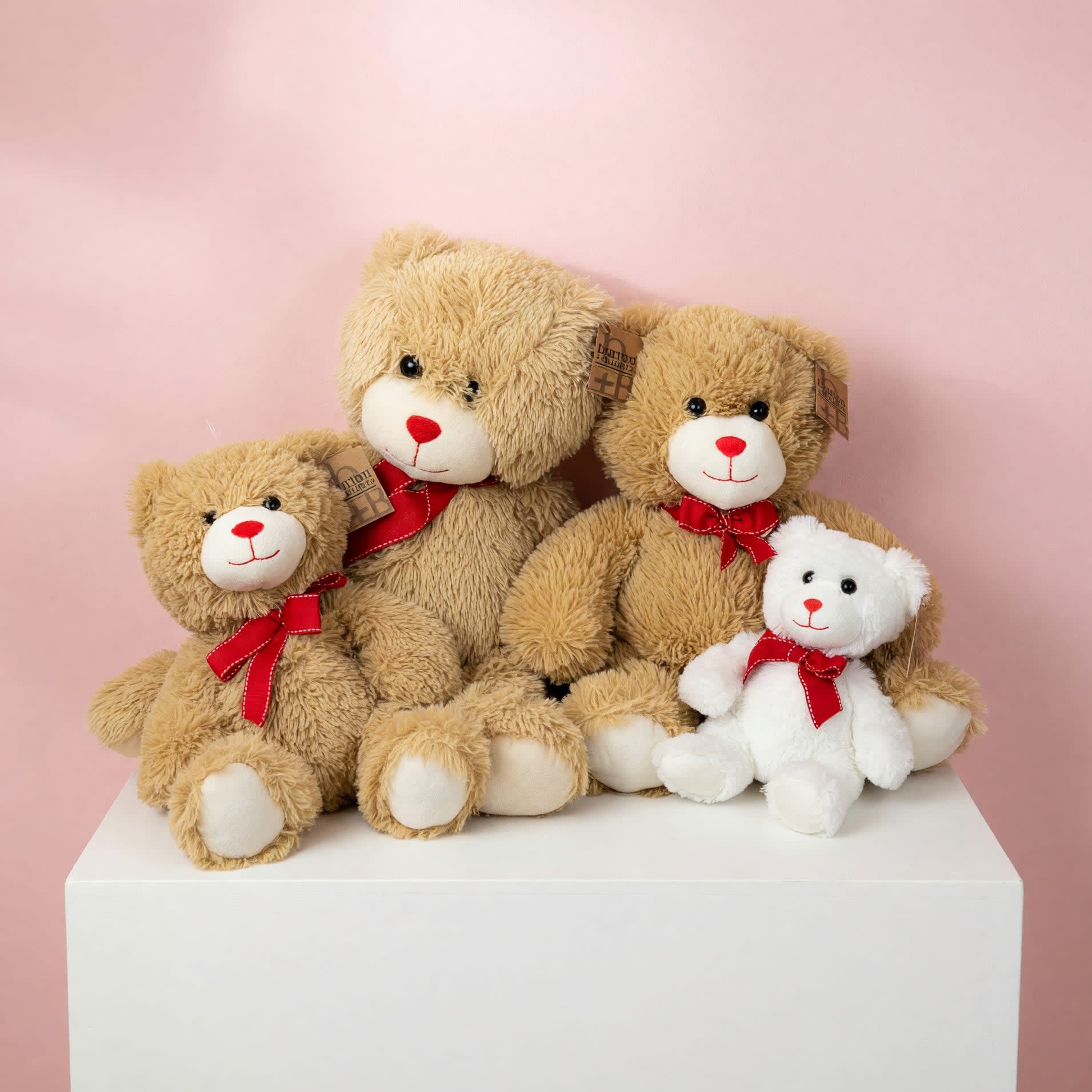 Plush Teddy Bear