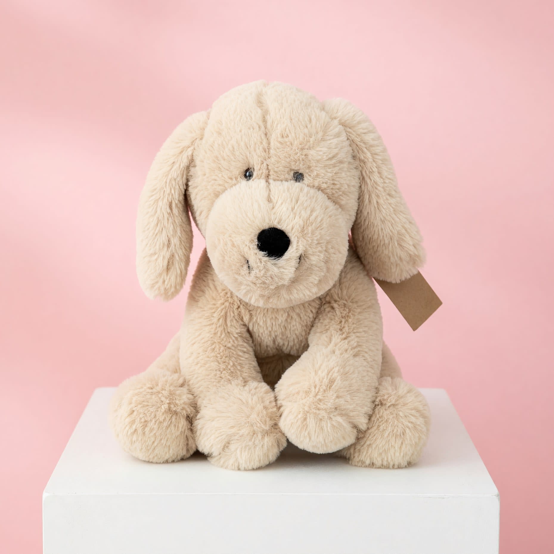 Plush Puppy