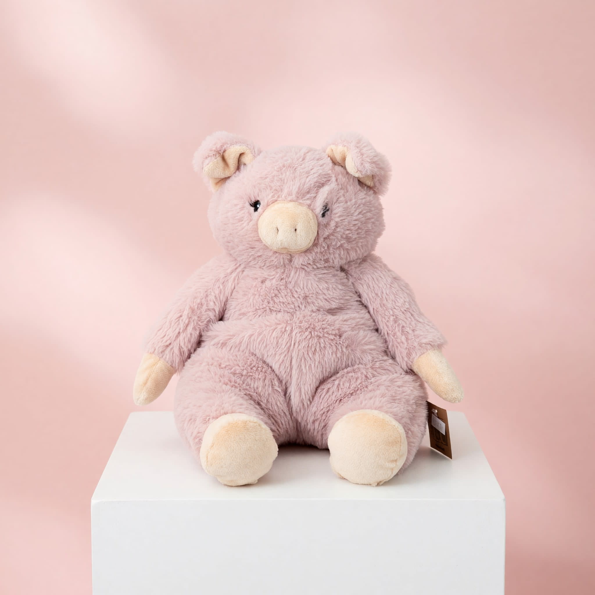 Plush Pig