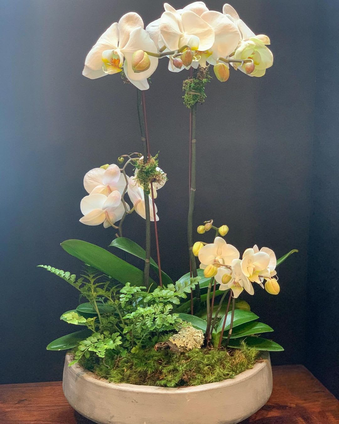 Botanicals