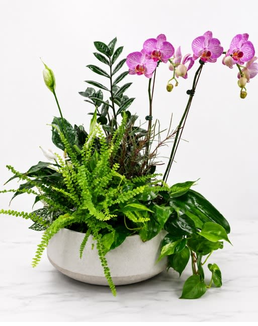 Premium Dish Garden Flower Bouquet