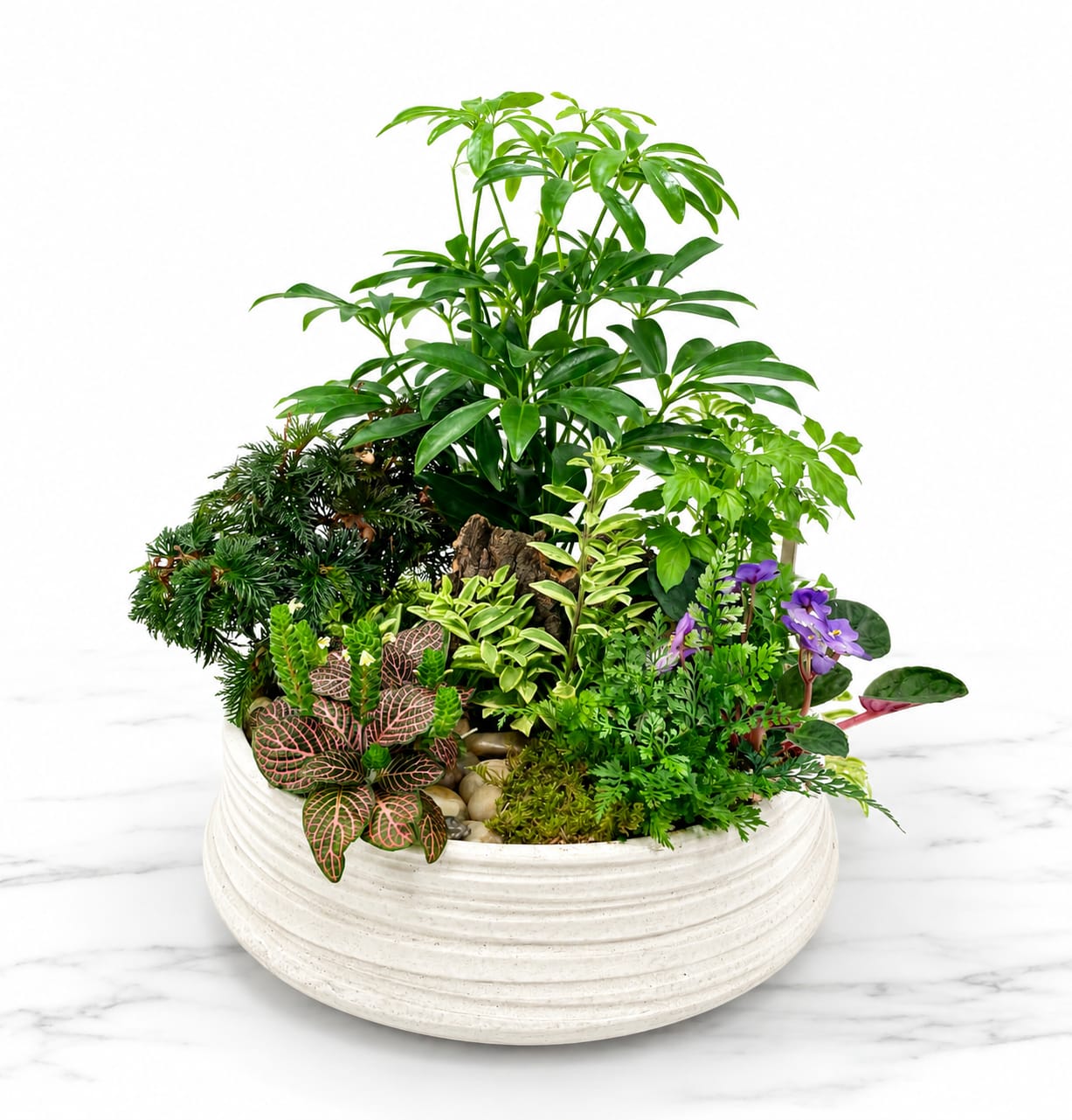 Custom Dish Garden