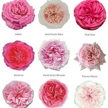 Garden Roses Flower Bouquet