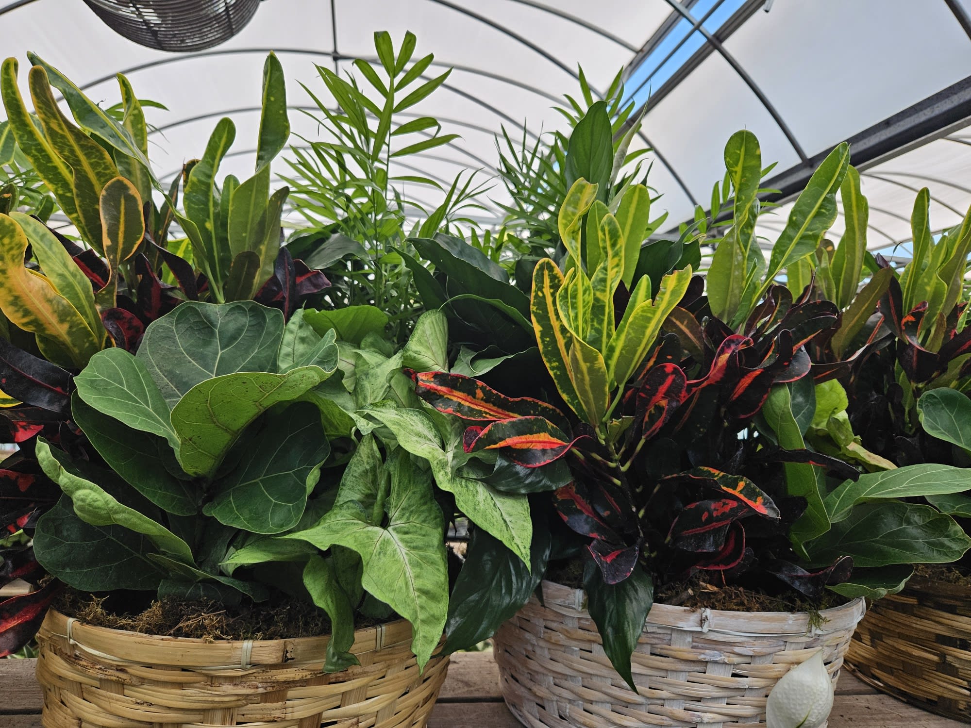 Planter