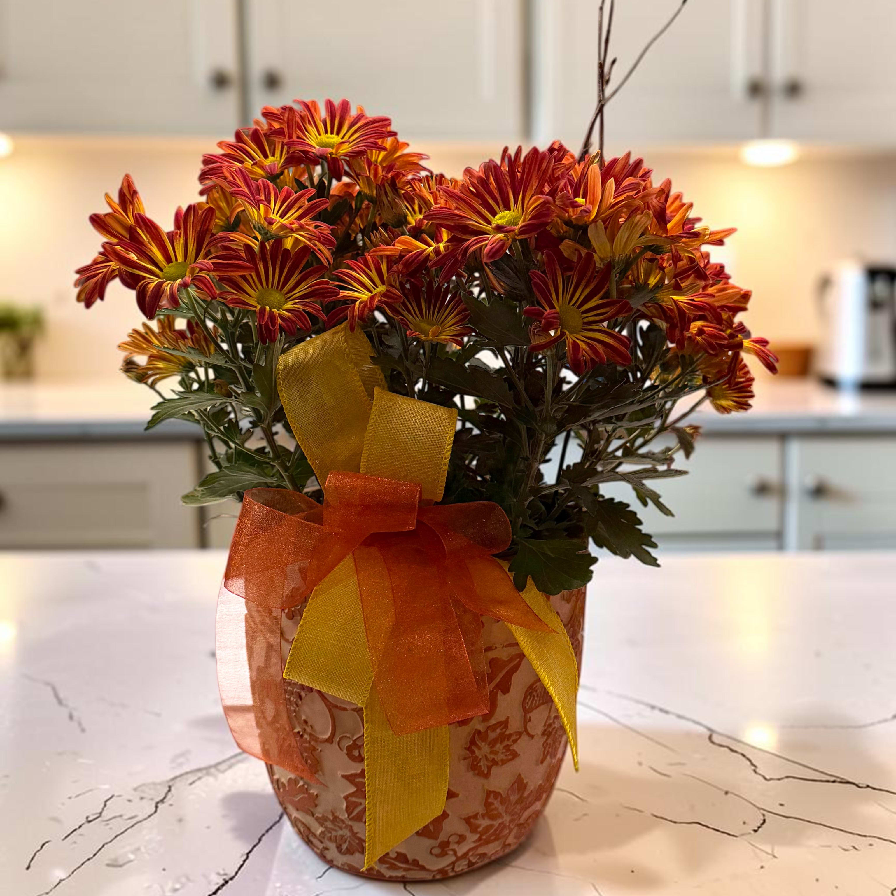 6" FALL MUM IN CERAMIC CONTANIER Flower Bouquet