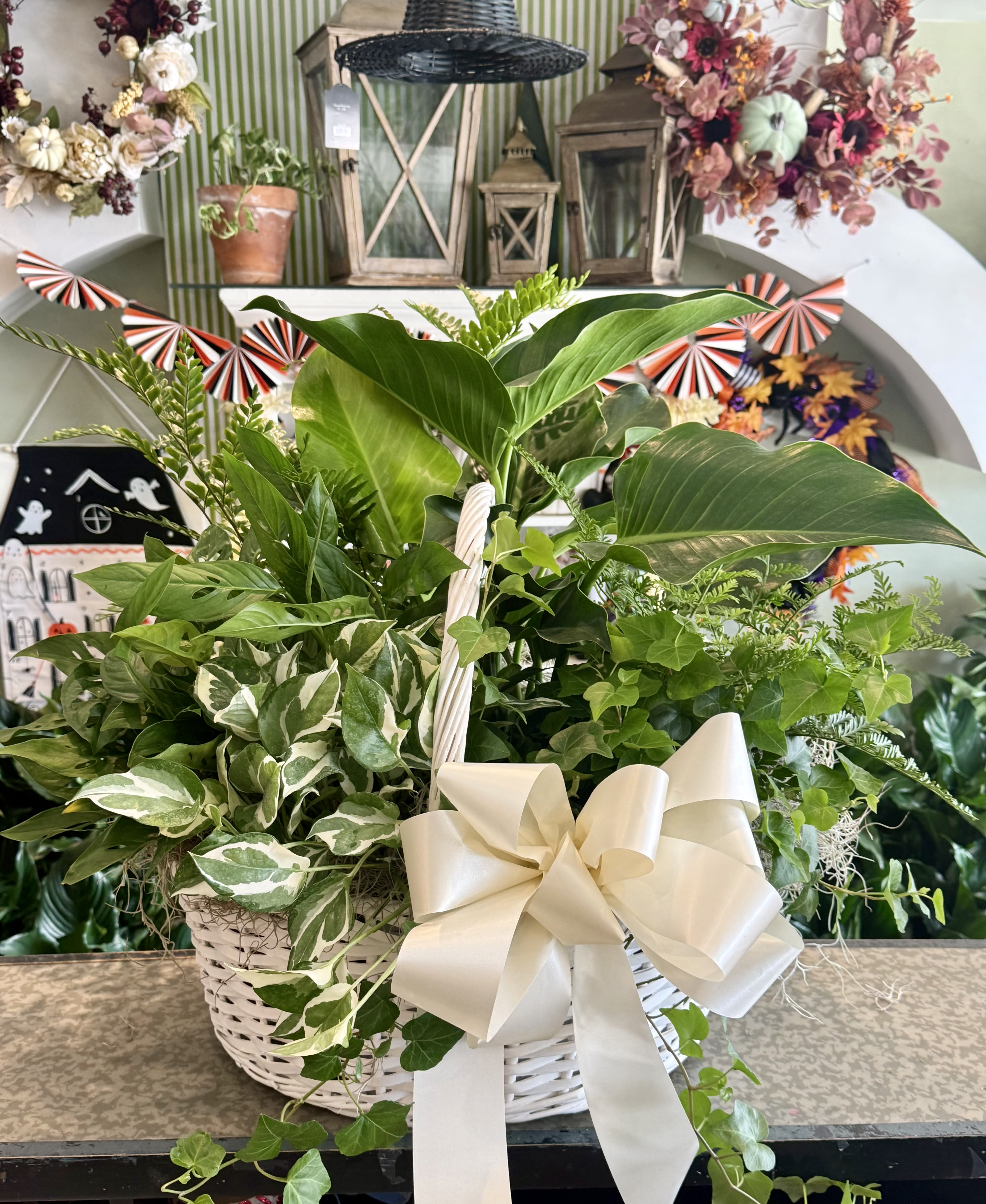 Large Plant Basket
