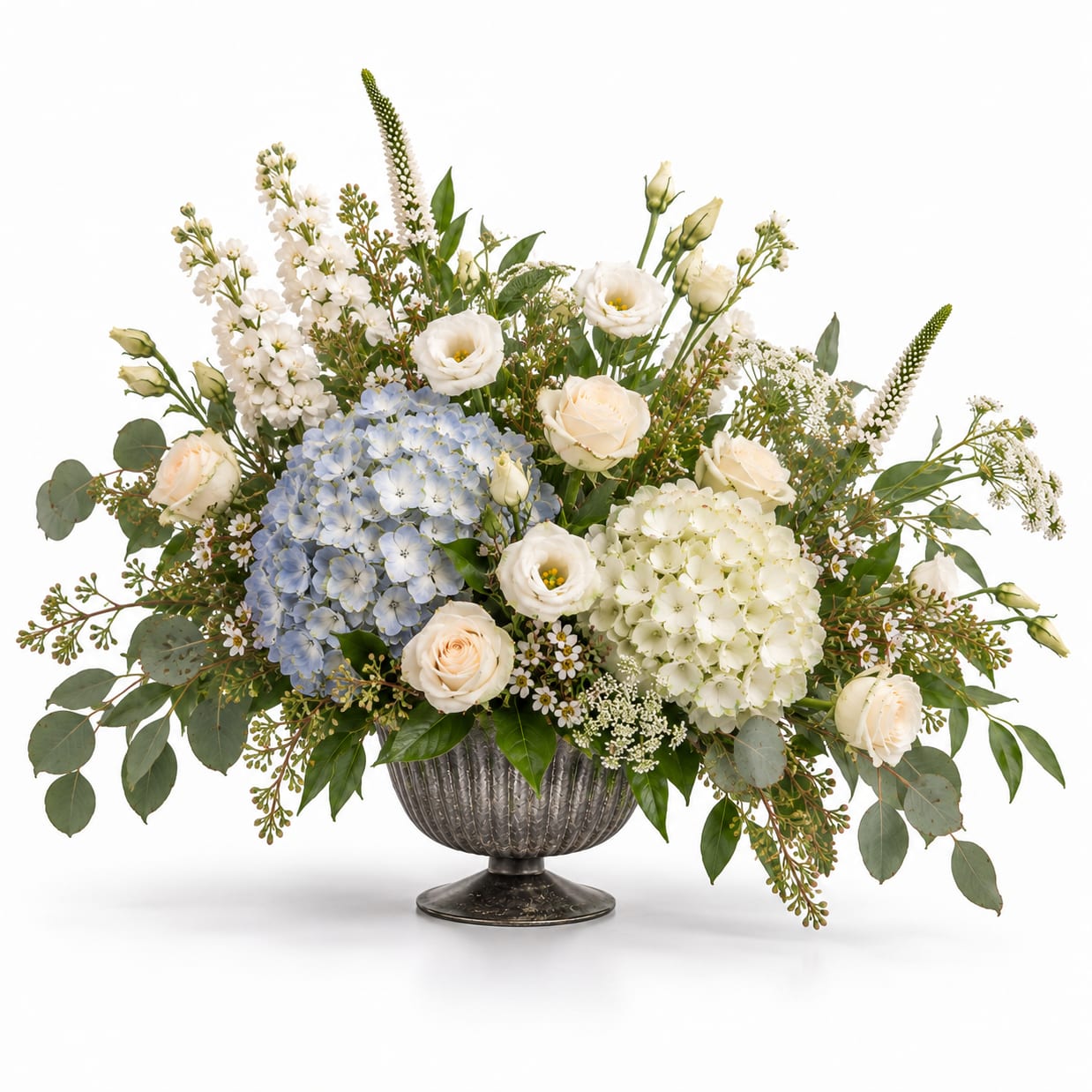 Hydrangea Hush