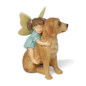 Fairy Ready for a Ride