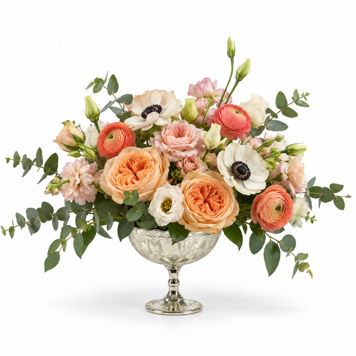 Apricot Grace