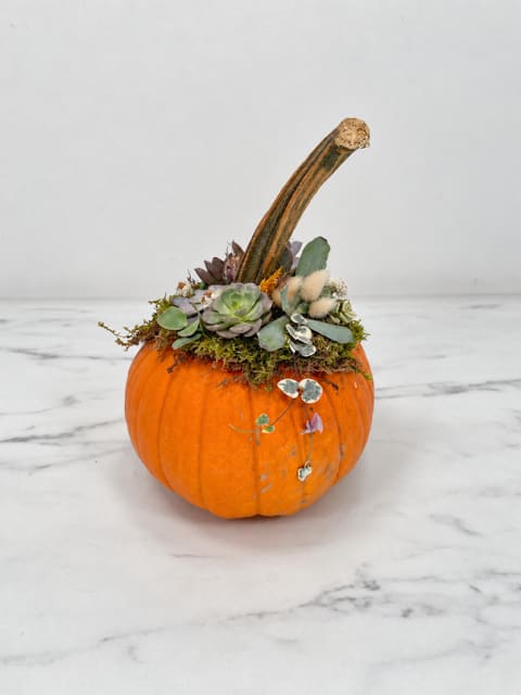 Succulent Pumpkin Flower Bouquet
