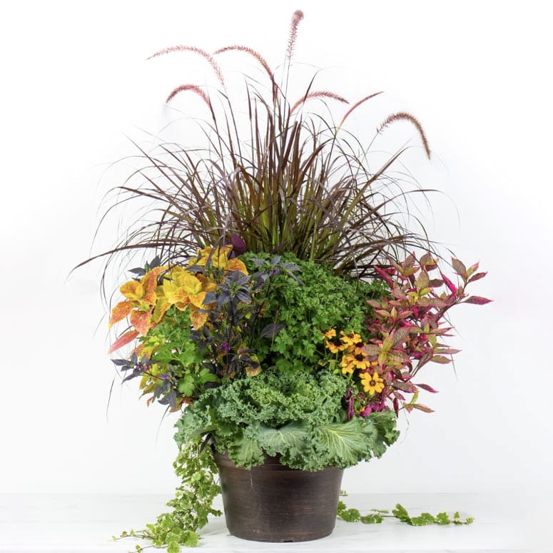 Fall Patio Planter Flower Bouquet