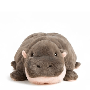 Baby Hippo 