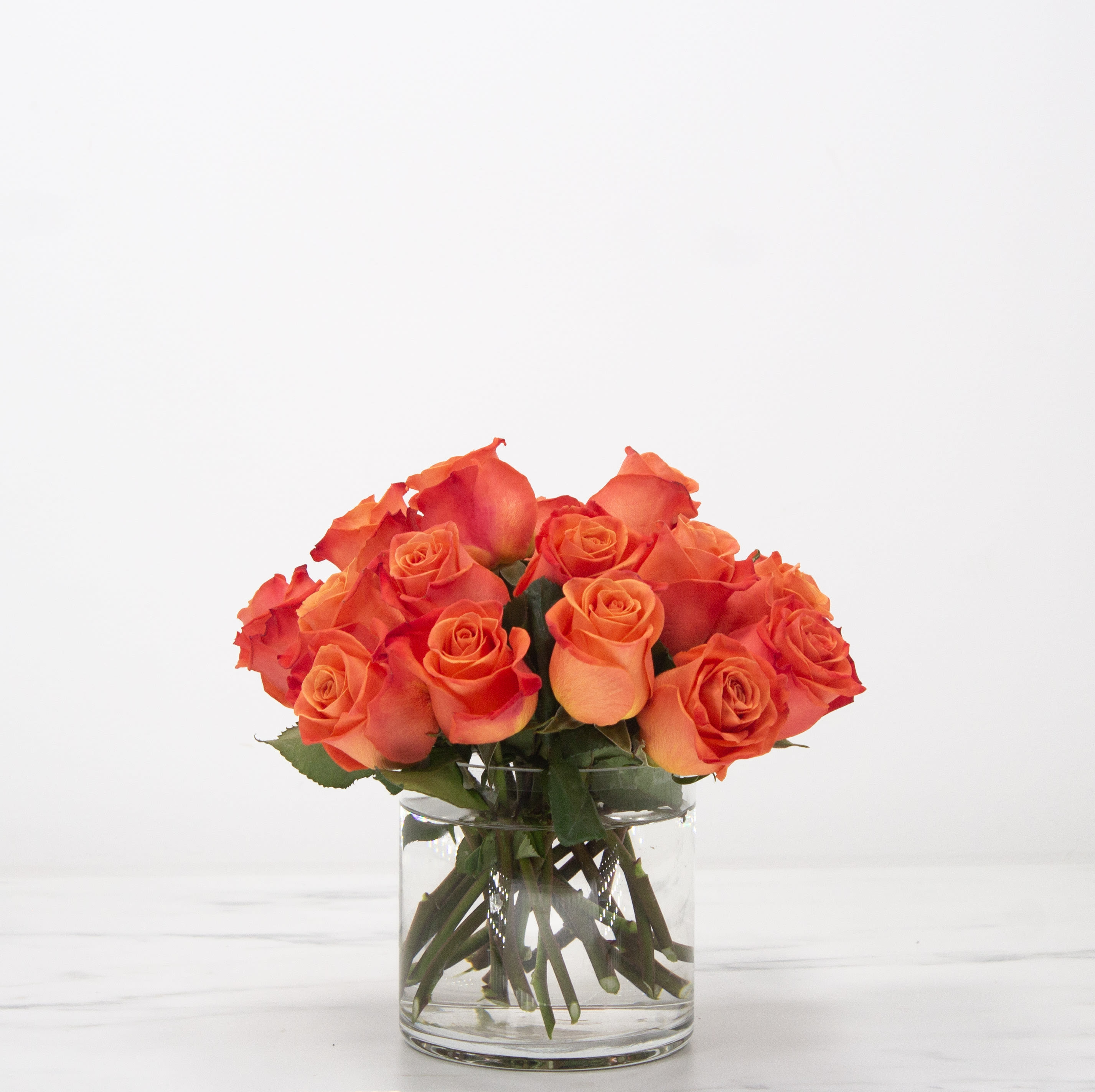 Simply Roses