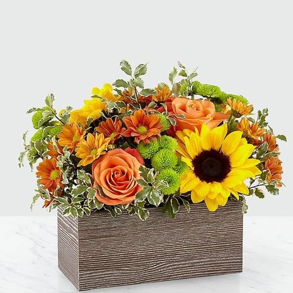 Happy Harvest Garden