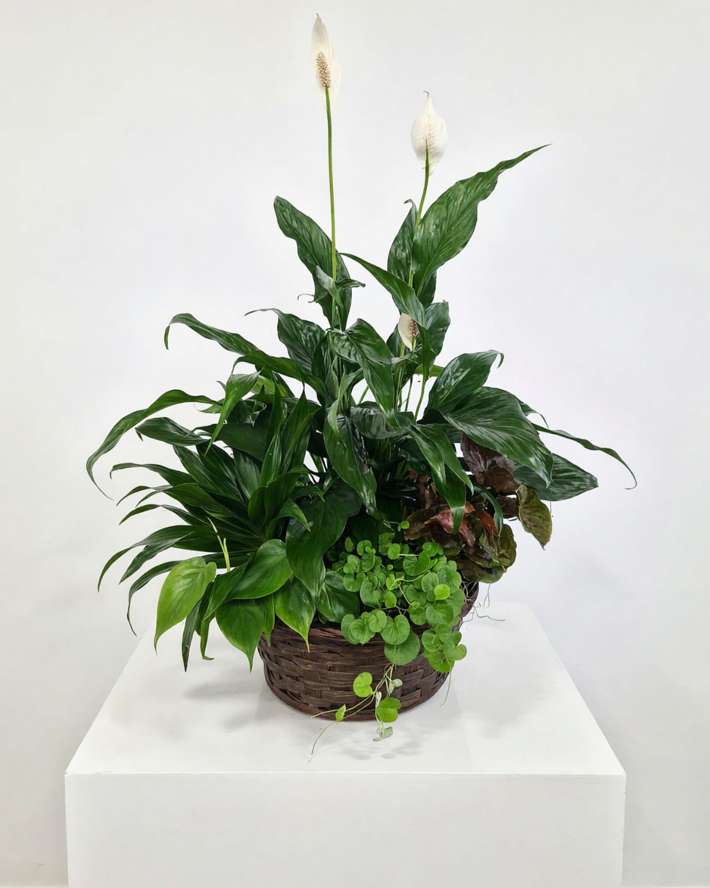 Lush Planter Basket Flower Bouquet