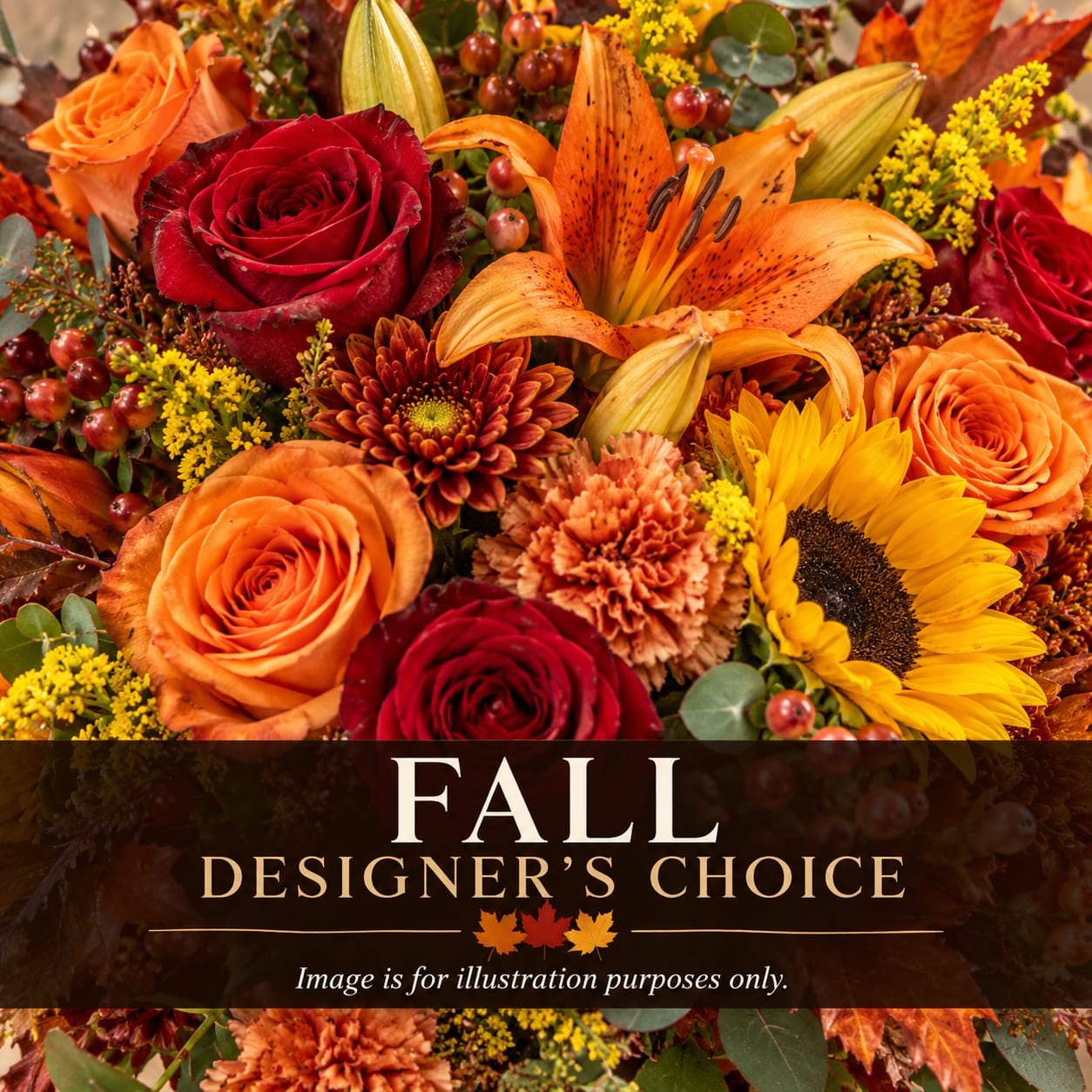 Fall Designer's Choice