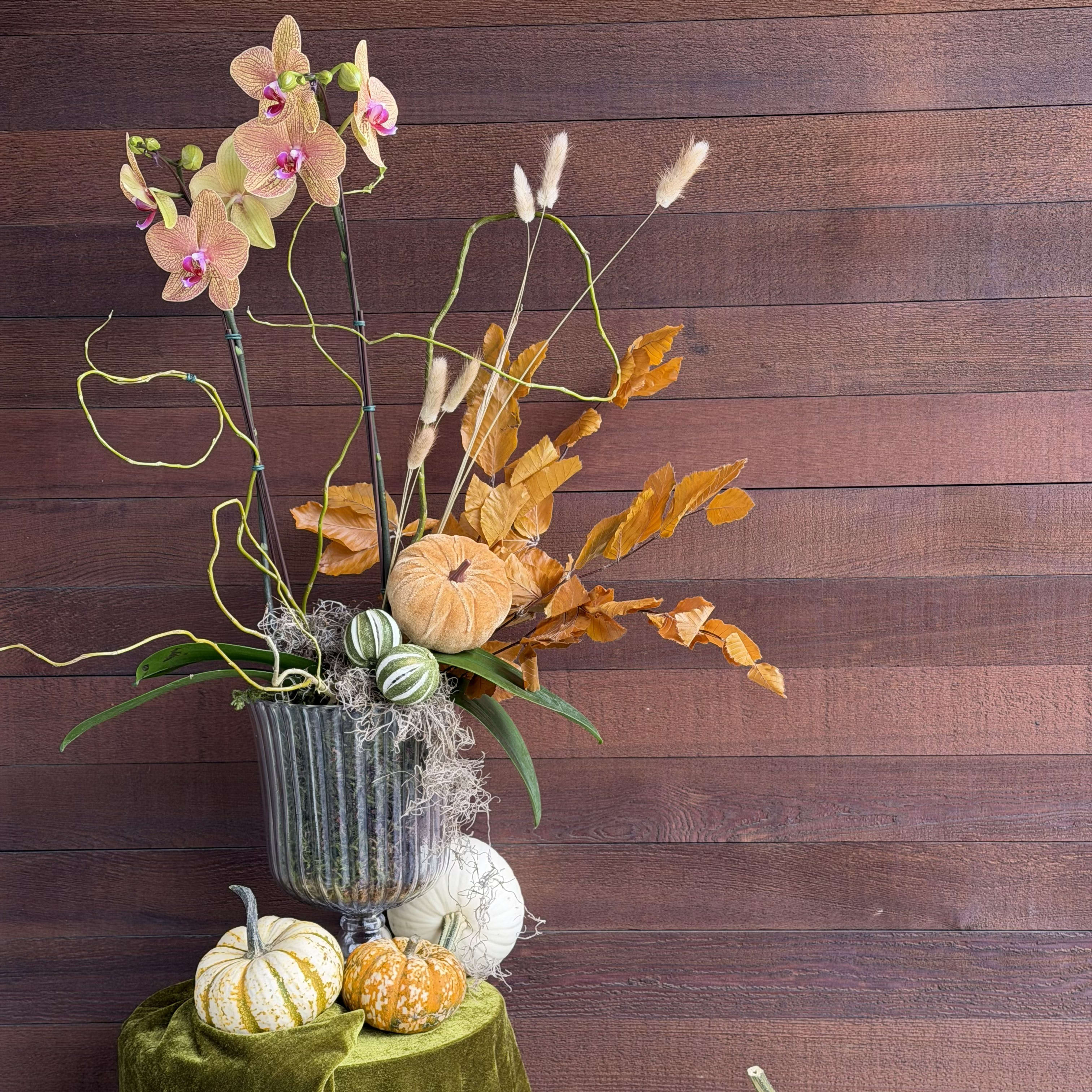 Autumn Orchid