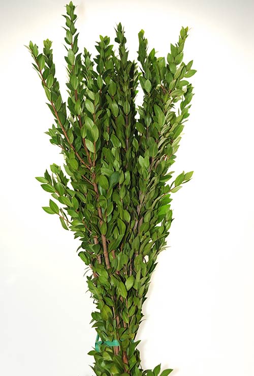Myrtle Flower Bouquet