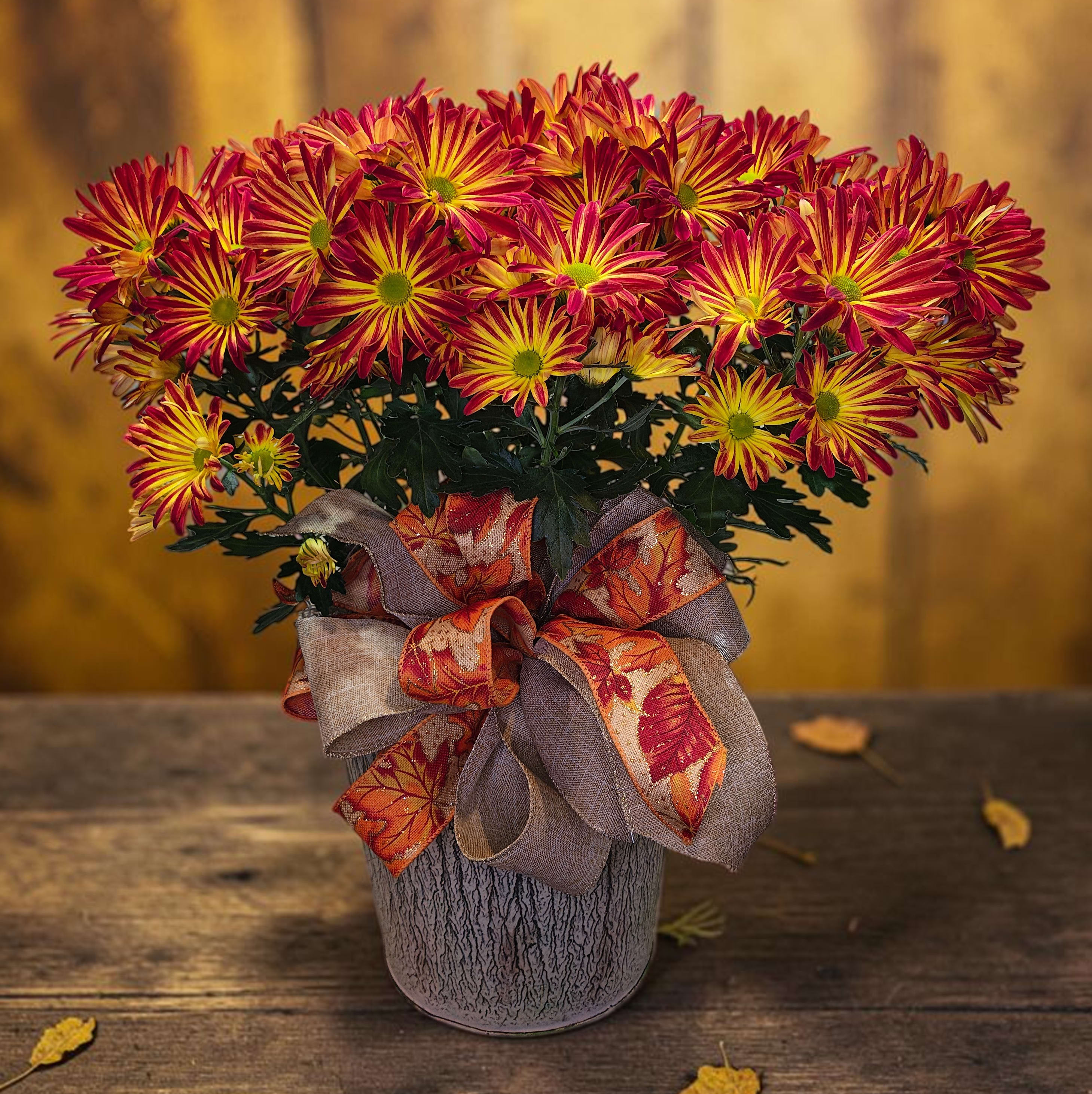 6" Chrysanthemum Plant in decorative metal container Flower Bouquet