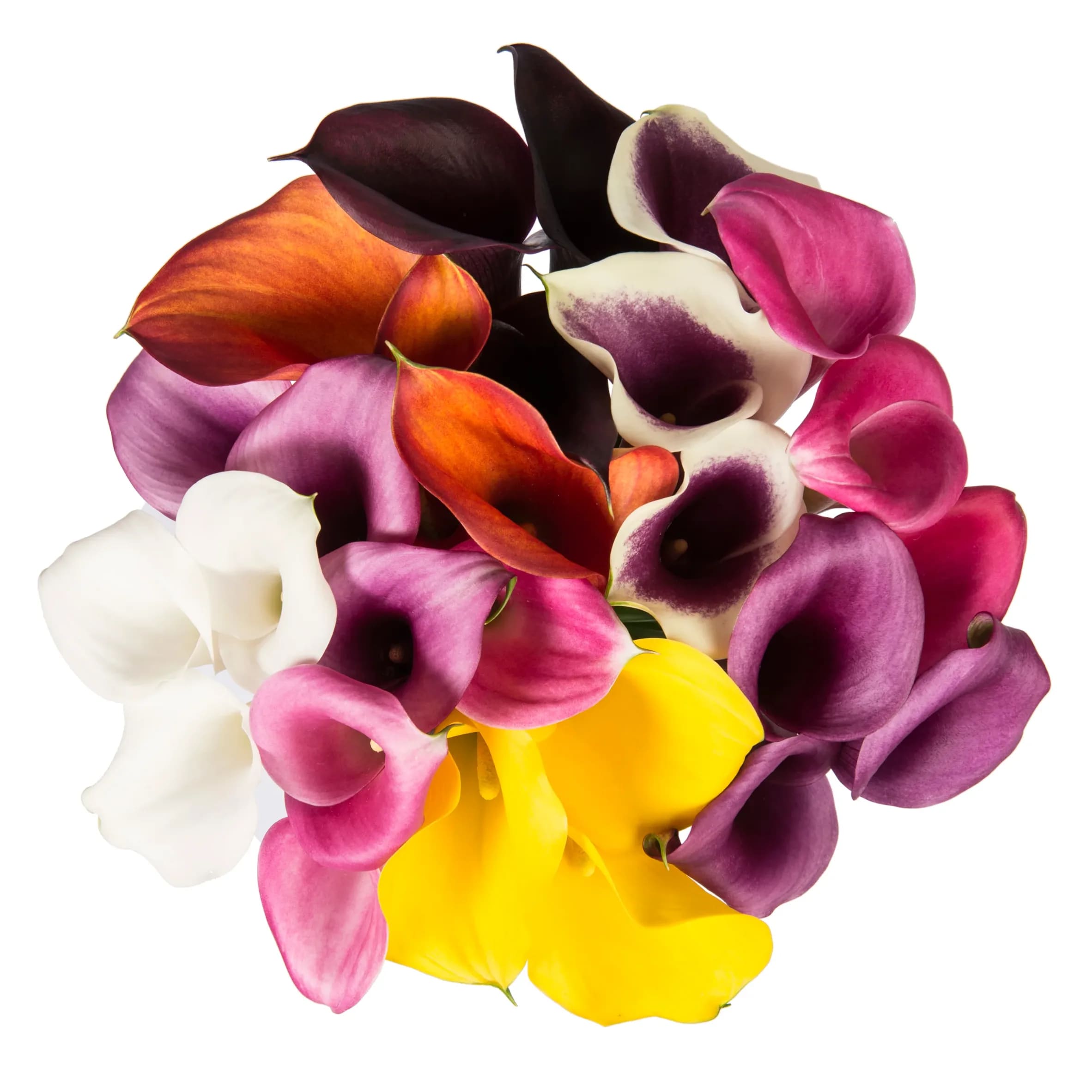 Mini Callas Flower Bouquet