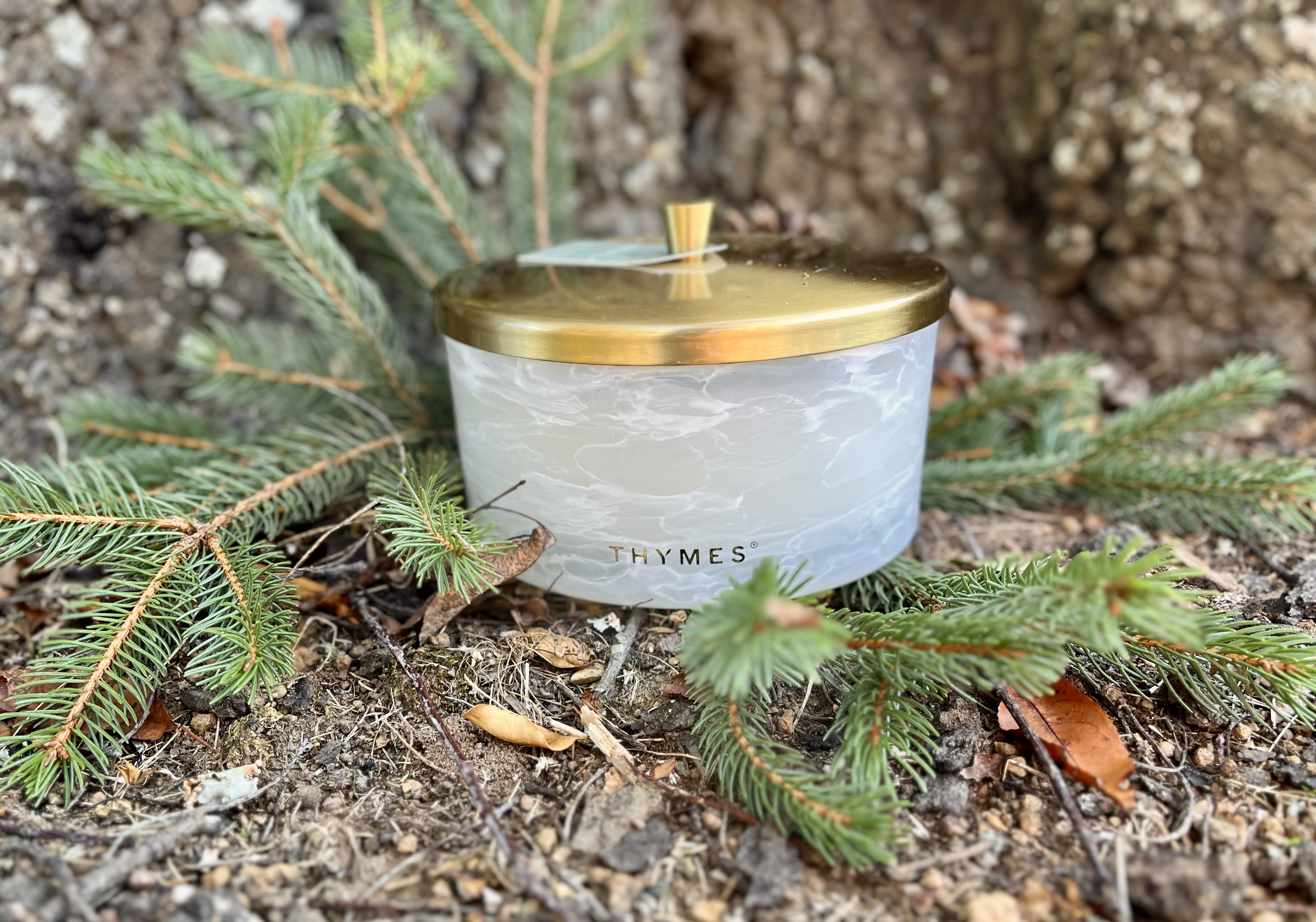 Frasier Fir Tidings 4 Wick