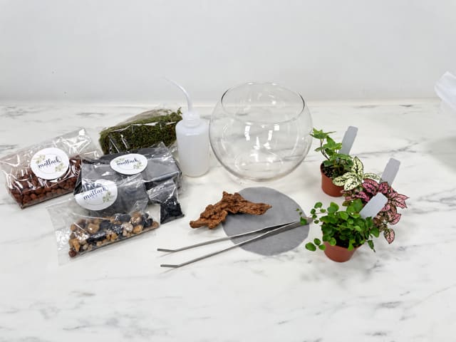 DIY Terrarium Kit