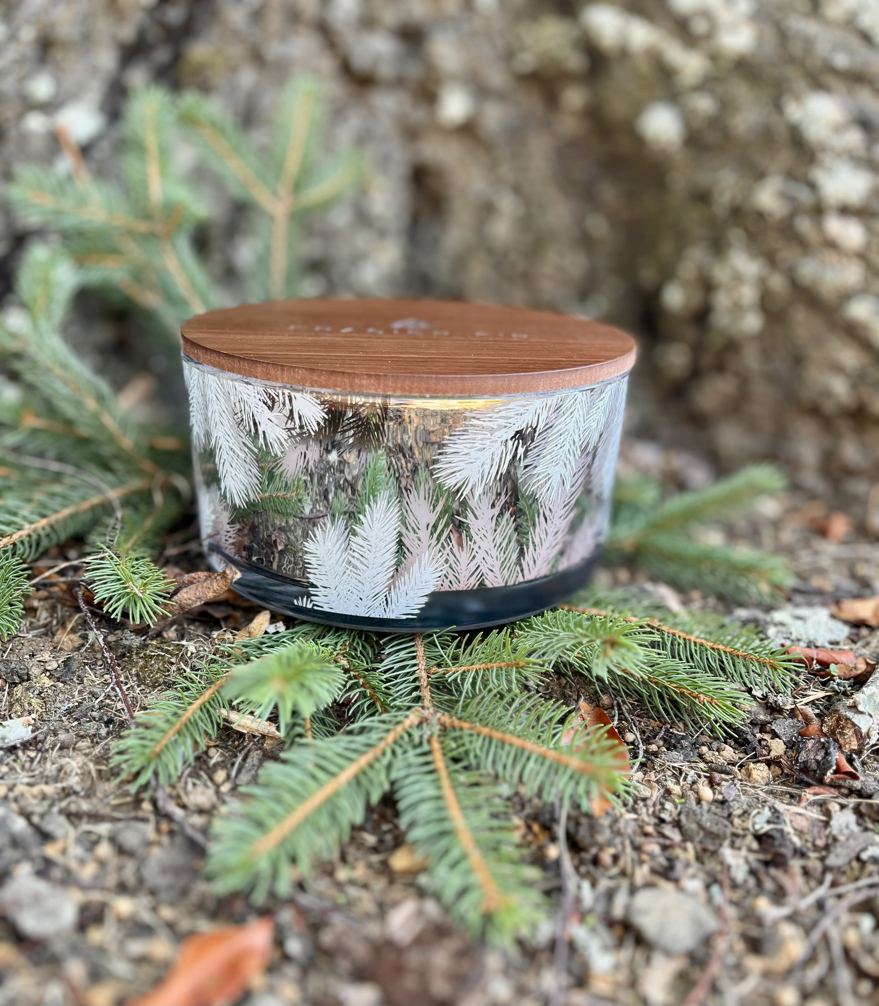 Frasier Fir Mega