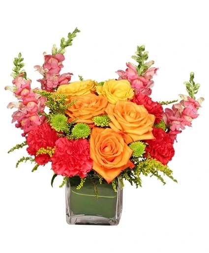 Dynamic Colors - Bouquet