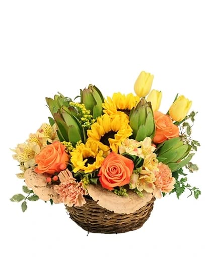 Brightly Joyful - Basket Arrangement