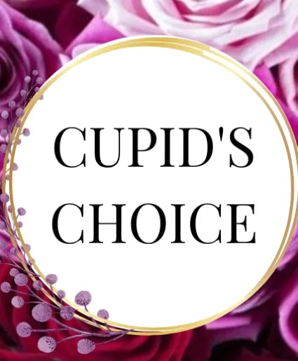 Cupid's Choice