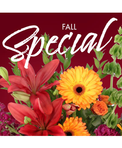 Fall Special - Designer's Choice