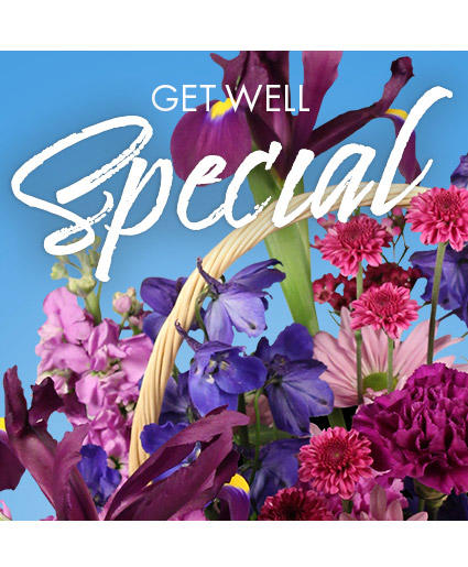 Get Well Special Florals - Designer's Choice