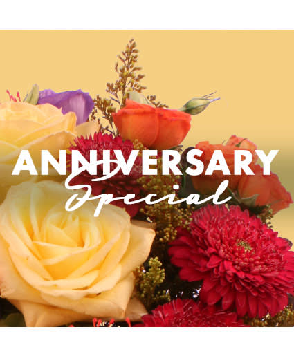 Gorgeous Anniversary Special - Designer's Choice
