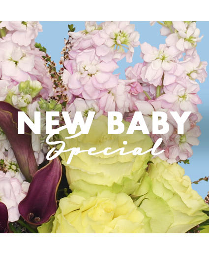 New Baby Special - Designer's Choice