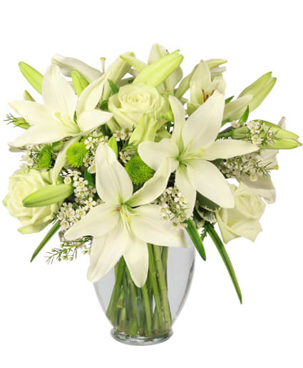 Simplicity - Arrangement