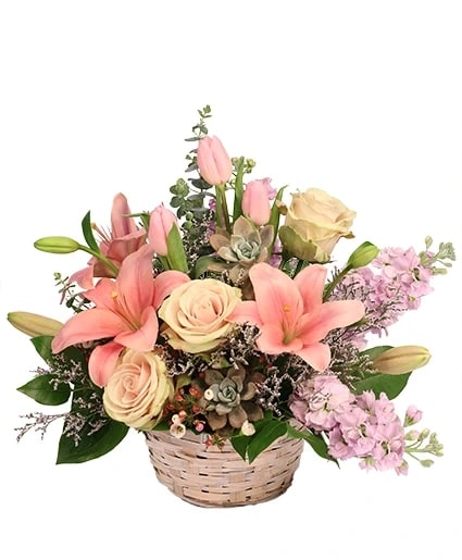 Soft Embrace - Basket Arrangement