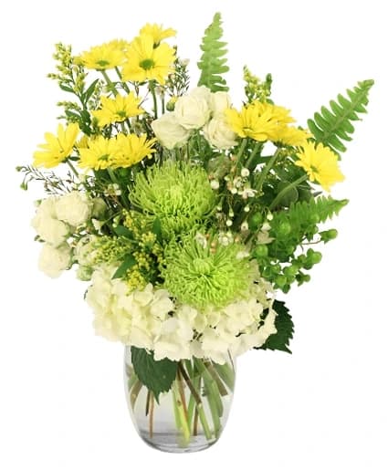 Splendid Citrus - Floral Arrangement