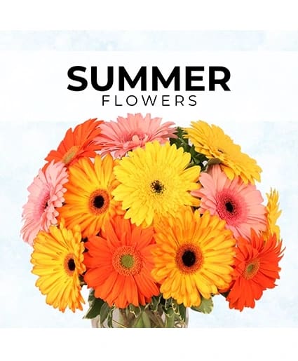 Summer Florist’s Pick - Designer's Choice