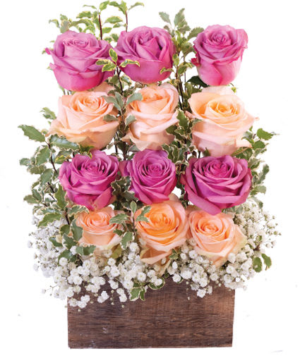 Wall of Roses - Floral Design