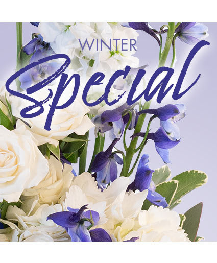 Winter Favorite - Designer's Choice