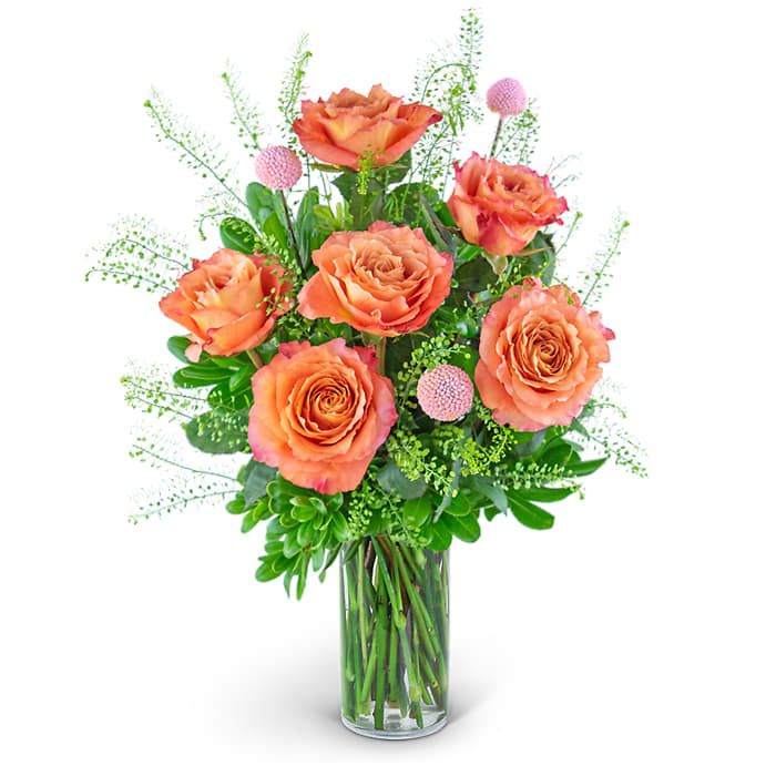 Free Spirit Rose Symphony