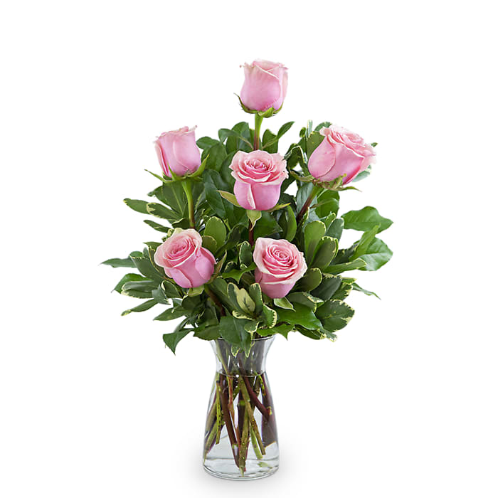 Premium Pink Roses