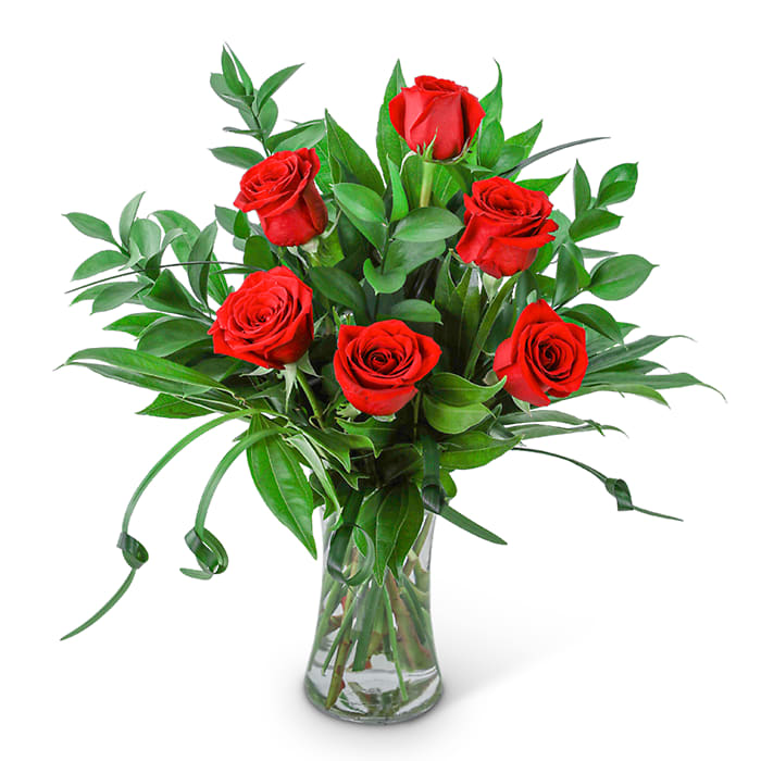 Premium Long Stem Red Roses